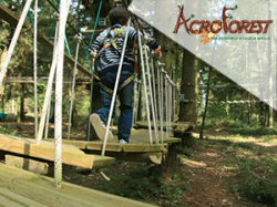 AcroForest - Brosville