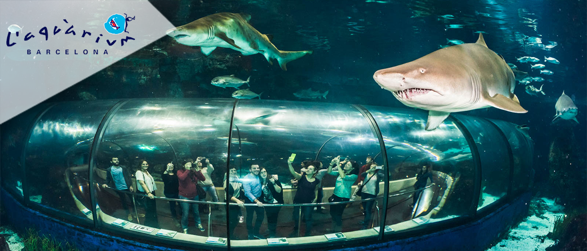 Aquarium de Barcelone